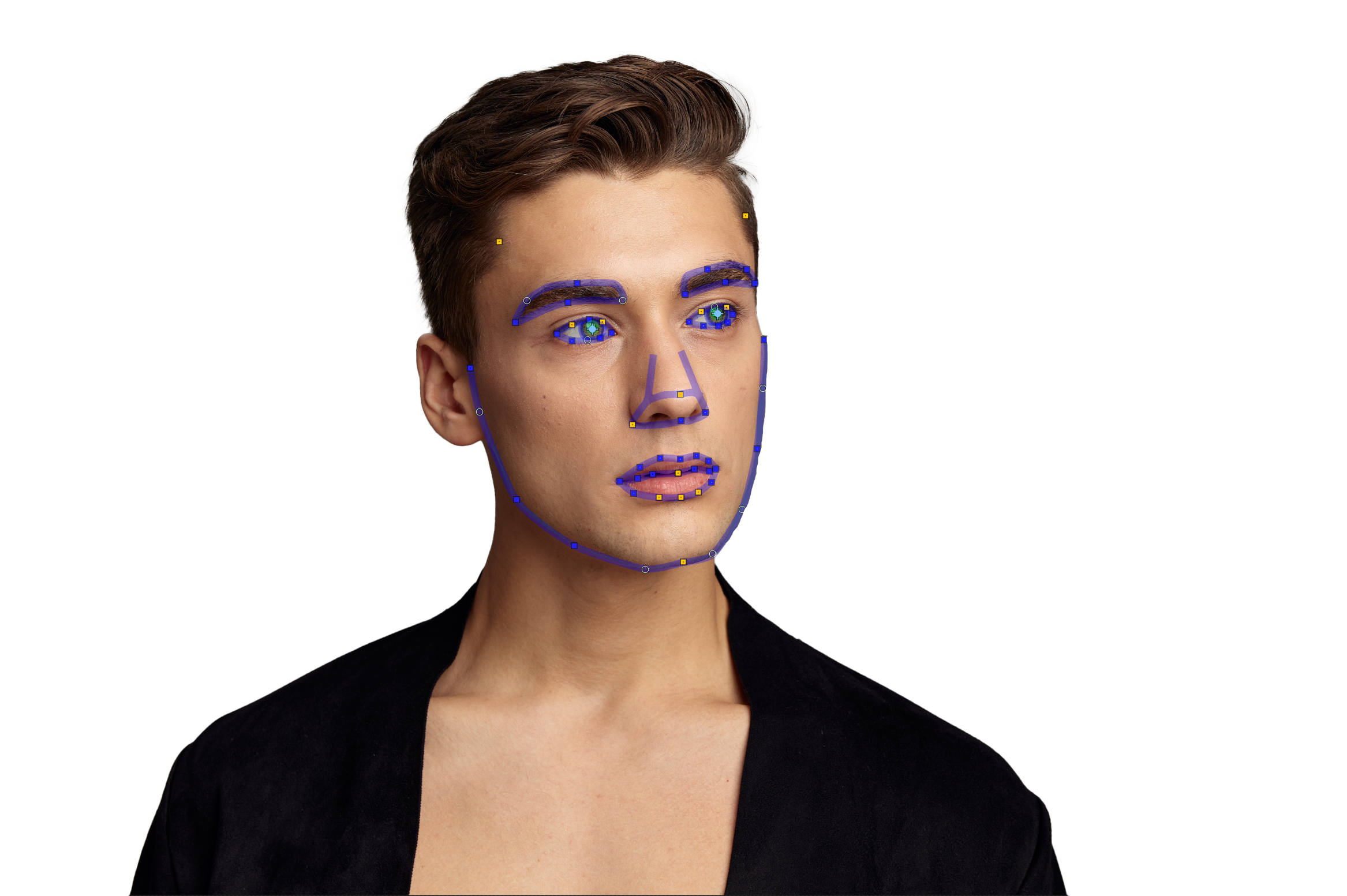Разметка лица в PortraitPro