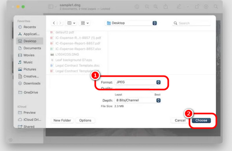 Preview — выбор JPEG в окне Export