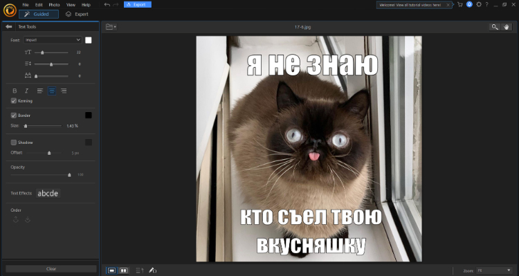 CyberLink PhotoDirector для создания мема