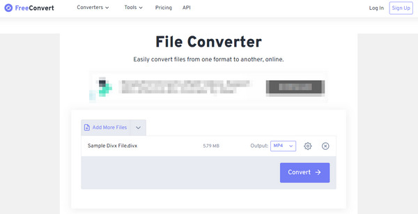 FreeConvert для DivX