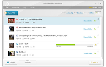 Главное окно Freemake Video Downloader
