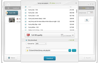 Скачивание плейлиста в Freemake Video Downloader