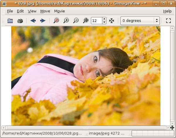 Просмотр фотографии в GImageView