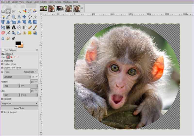 Скриншот GIMP