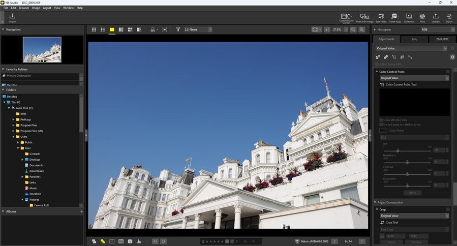 Nikon NX Studio: активированный Color Control Point Tool в правой панели и изображение в режиме одиночного просмотра