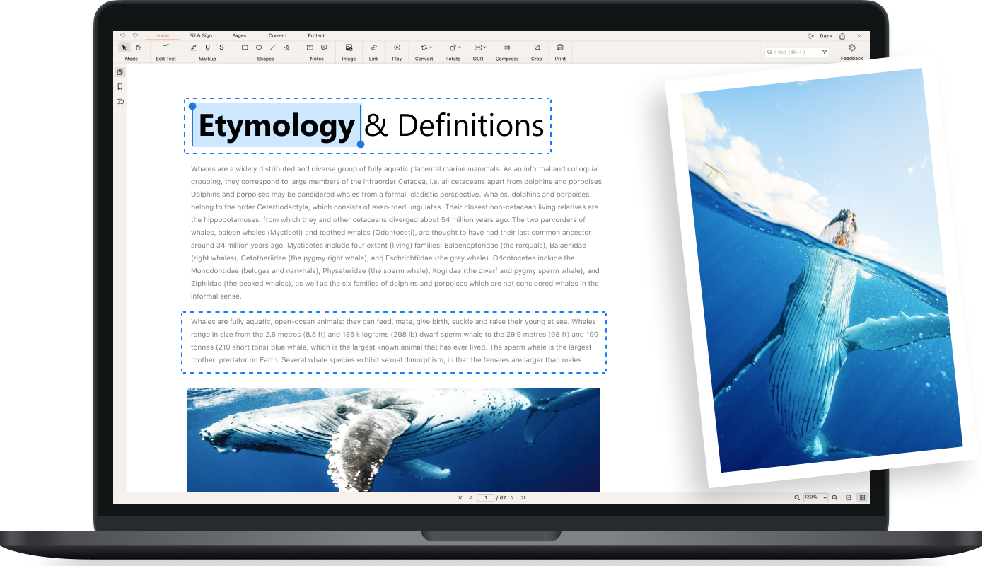 Интерфейс PDFgear для работы с PDF