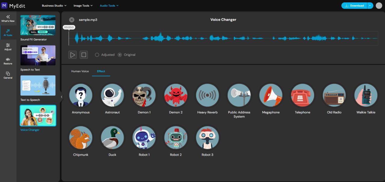 MyEdit: забавные голосовые эффекты