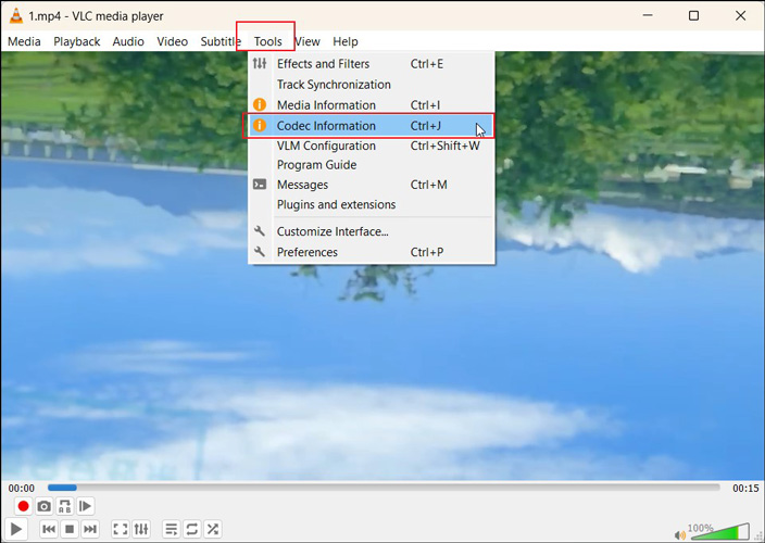 Пункт Codec Information в VLC Media Player