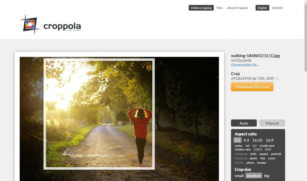 Интерфейс Croppola с загруженной фотографией, рамкой кадрирования, кнопкой Download this crop и правой панелью настроек