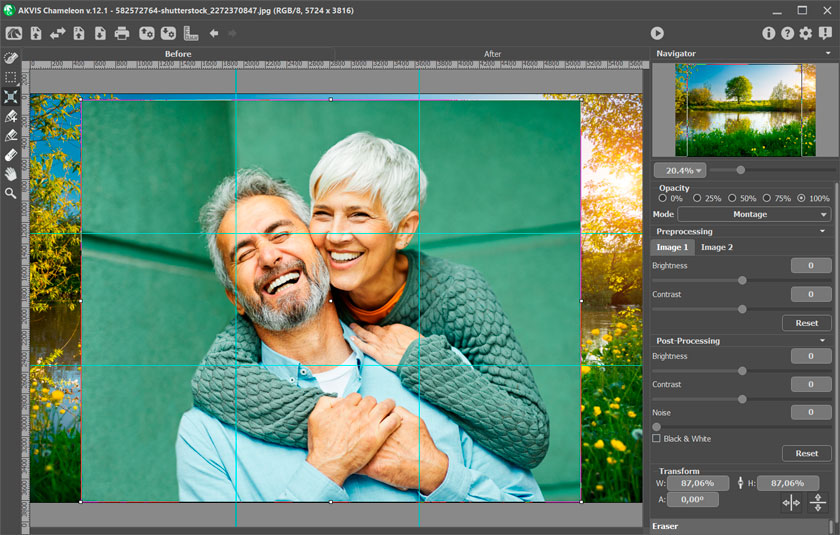 Направляющие в AKVIS Chameleon