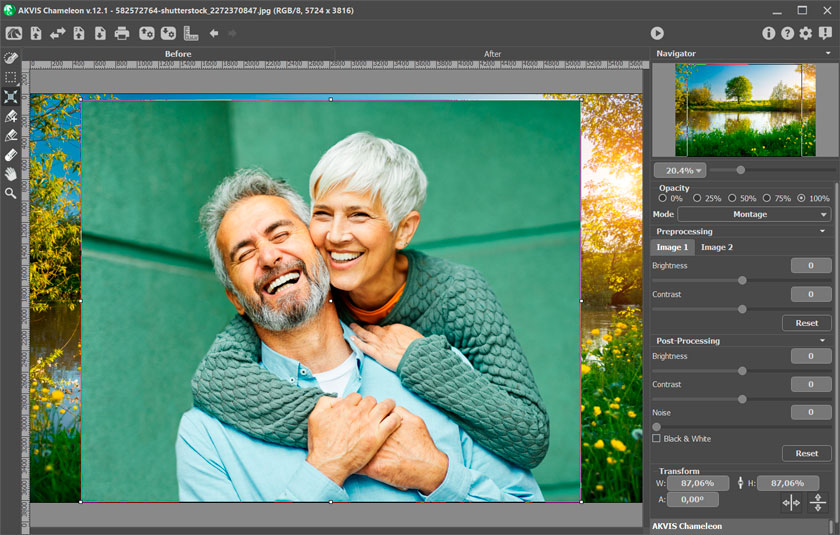 Инструмент Transform в AKVIS Chameleon