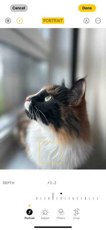 iPhone: изменение глубины размытия через Portrait и Depth