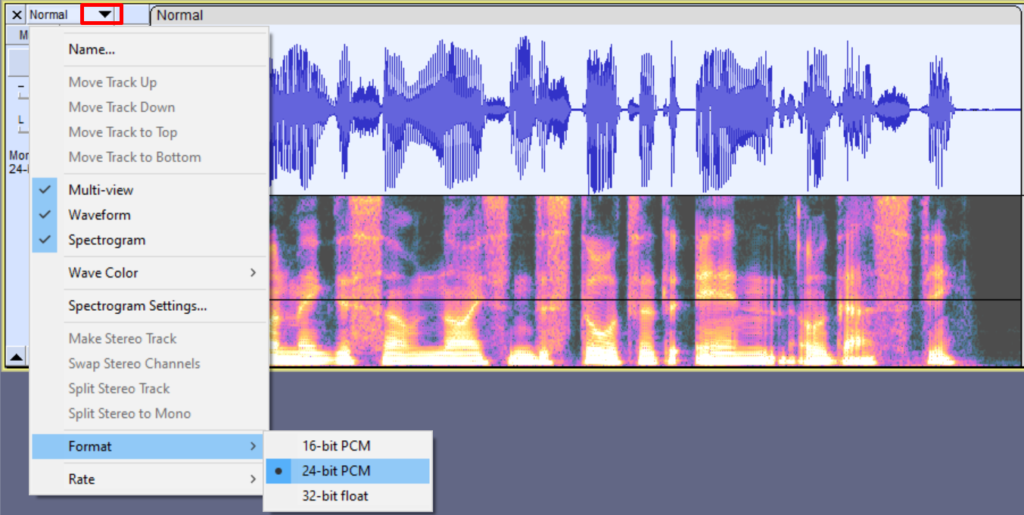 Окно Audacity с аудиодорожкой