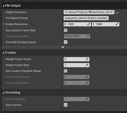 Output Settings в Movie Render Queue Unreal Engine