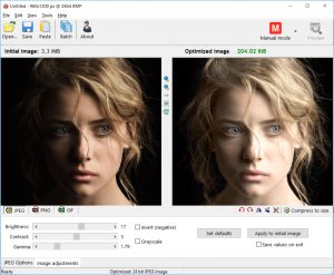 Вкладка Image adjustments в RIOT