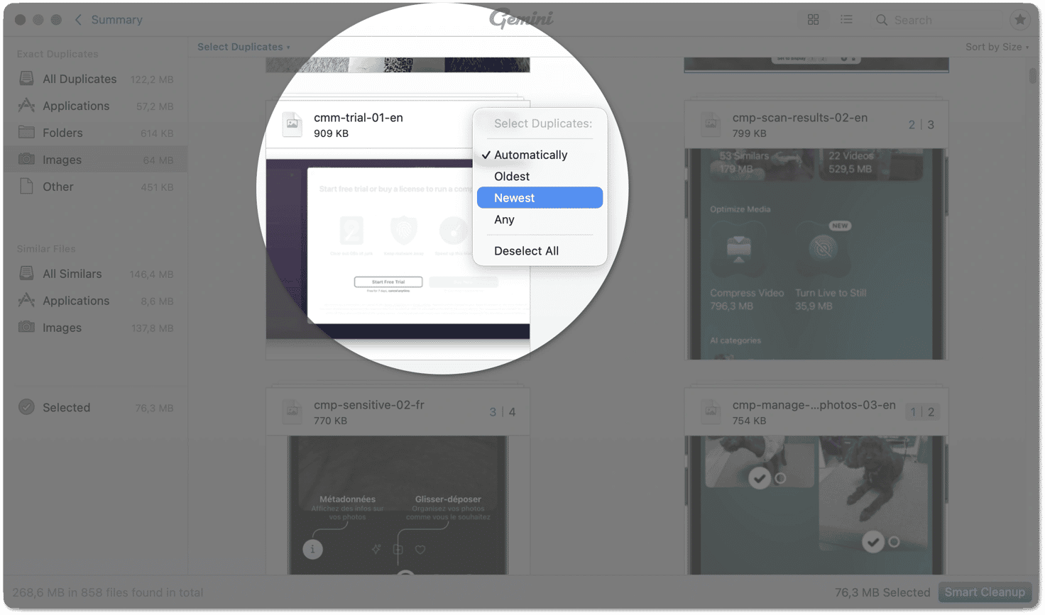 Gemini 2 — массовый выбор через Select Duplicates