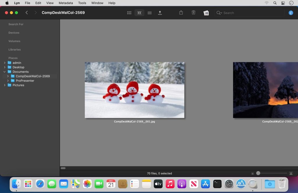 Lyn — интерфейс программы