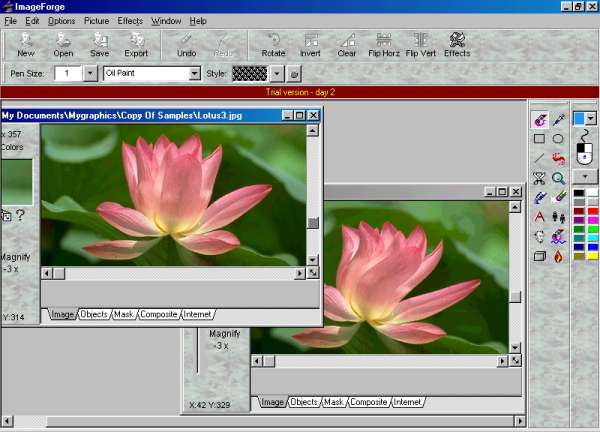 Главное окно ImageForge PRO с панелью инструментов, рабочими окнами изображений, вкладками Image, Objects, Mask, Composite и Internet