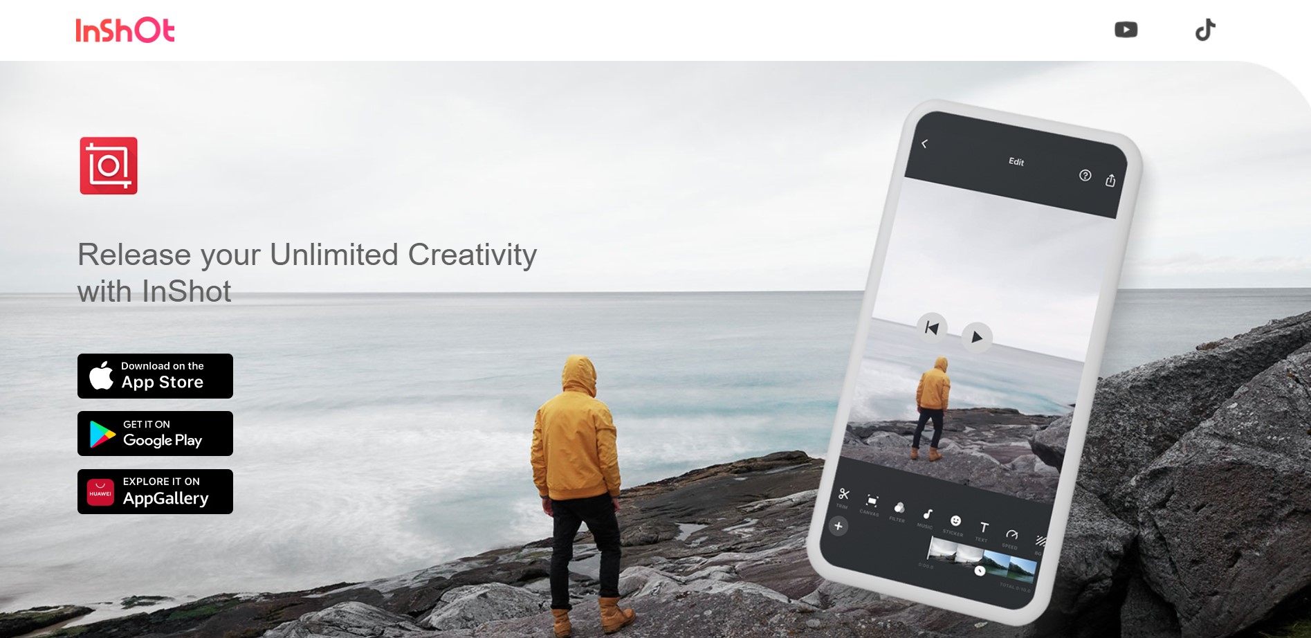 Интерфейс InShot