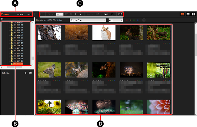 Thumbnail Display в Viewer: папки, миниатюры, фильтры и панель инструментов