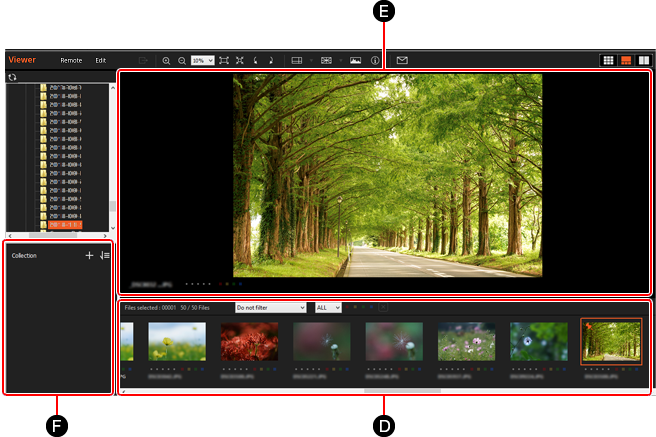 Preview Display в Viewer с крупным просмотром выбранного изображения
