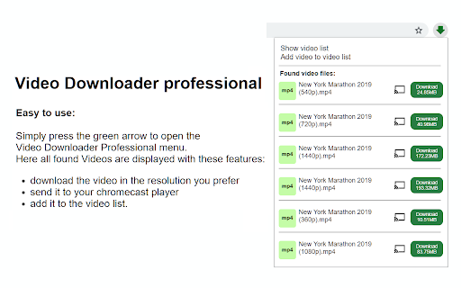 Интерфейс Video Downloader Professional: popup со списком Found video files