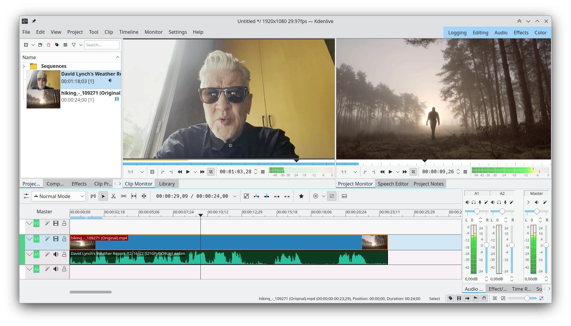 Интерфейс Kdenlive с медиатекой, окном предпросмотра и таймлайном