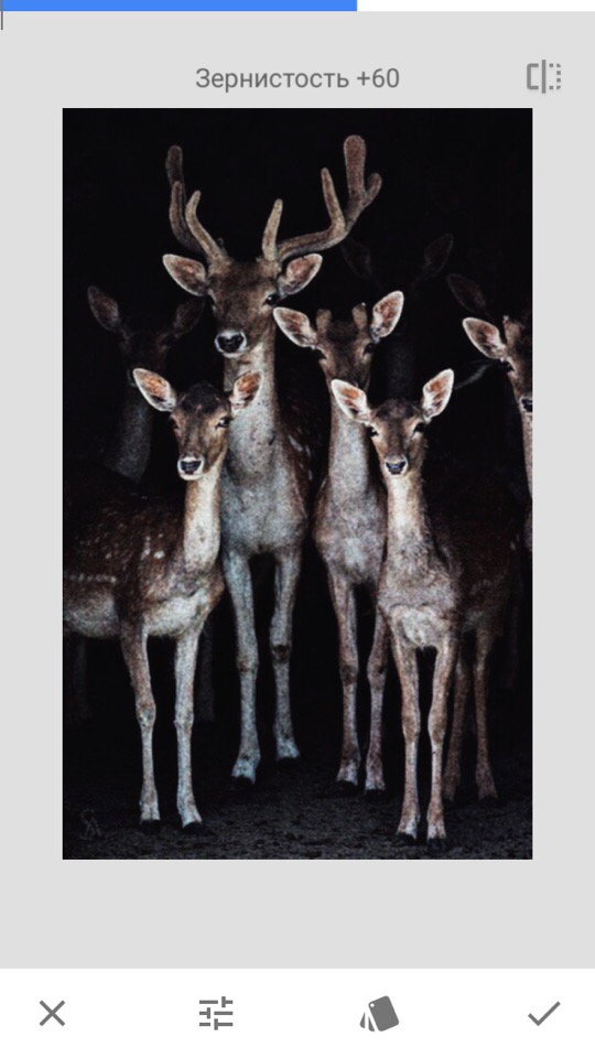 Snapseed: инструмент зернистой плёнки на смартфоне