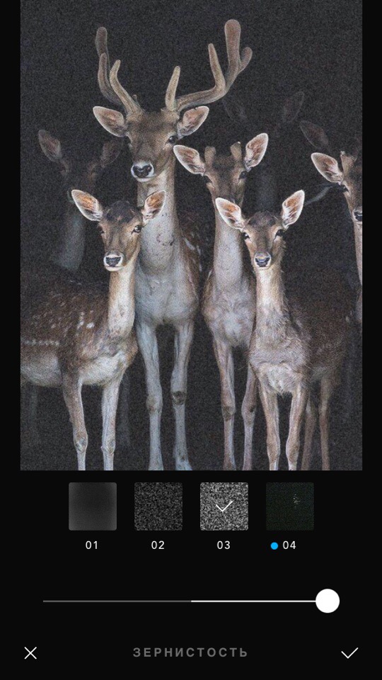 Afterlight: мобильные инструменты для добавления зерна