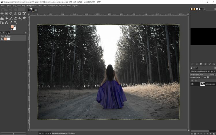 GIMP: результат перекраски платья после применения Color Exchange