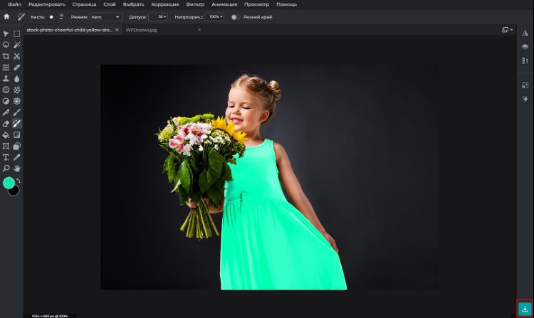 Pixlr E: результат ручной перекраски одежды после работы кистью