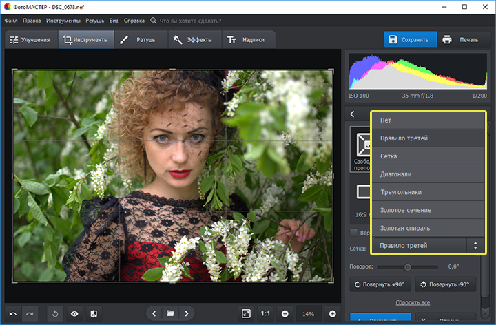 Выбор сетки при кадрировании