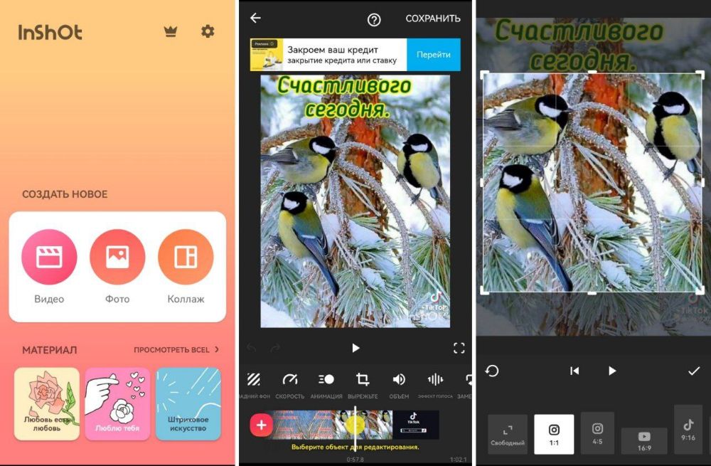 Кадрирование в InShot