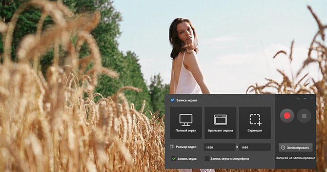 Экранная Камера: панель захвата скриншота из видео
