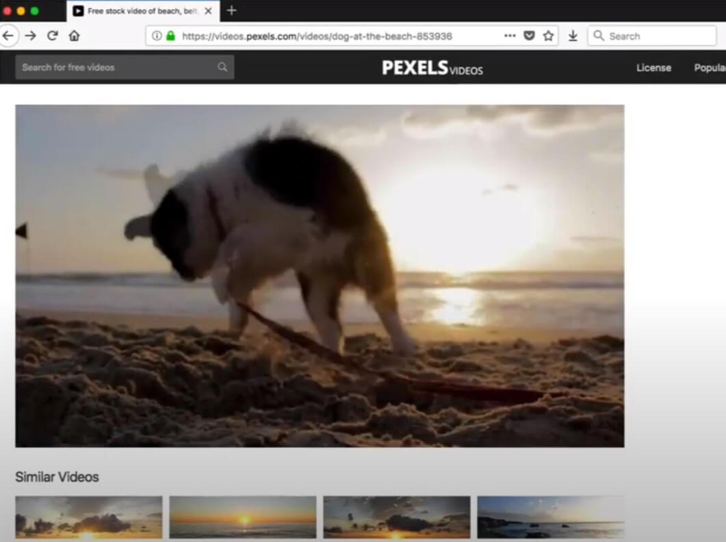 Video DownloadHelper: список найденных вариантов видео