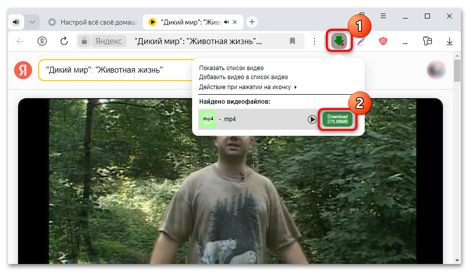 Список найденных видео в Video Downloader Professional