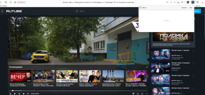 Video Downloader Professional — пример работы