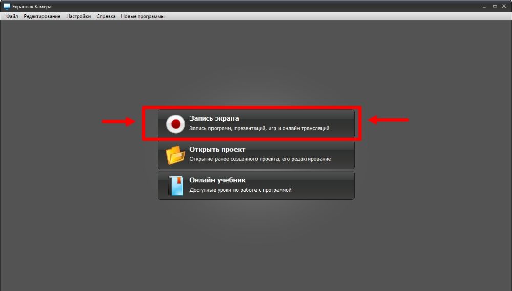 Экранная Камера — окно программы и сценарий записи