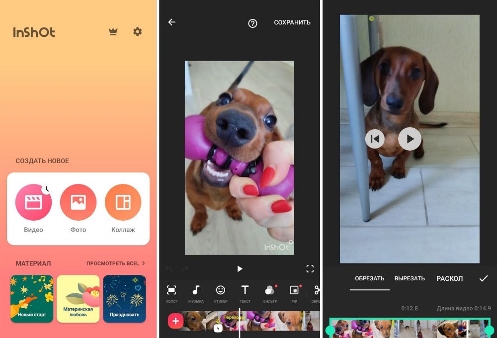 InShot — скриншот интерфейса