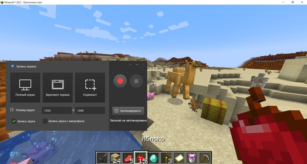 Экранная Камера — запись Minecraft