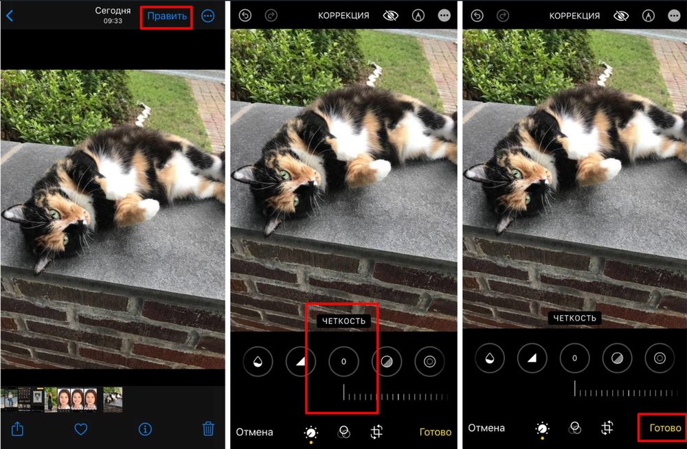Snapseed: экран приложения для мобильной коррекции света