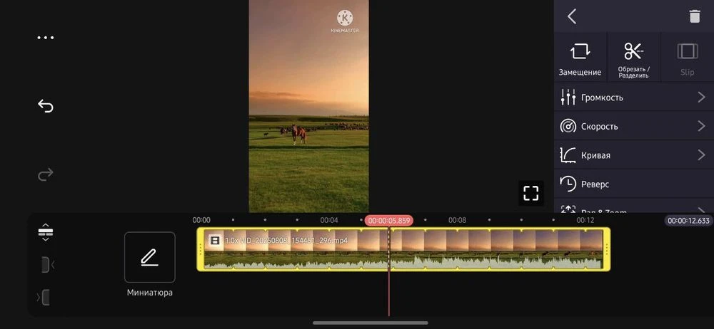 Скриншот KineMaster