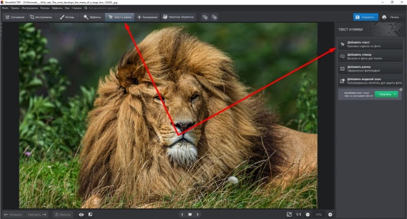 Инструмент Текст и рамки в ФотоМАСТЕР