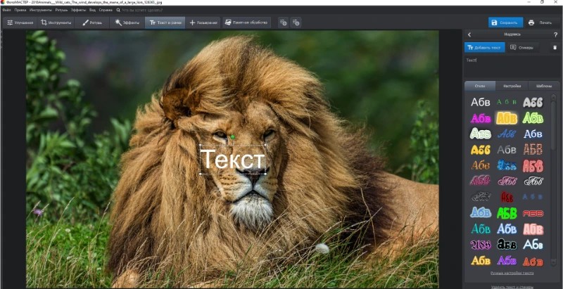 Настройка шрифта, цвета и положения текста в ФотоМАСТЕР