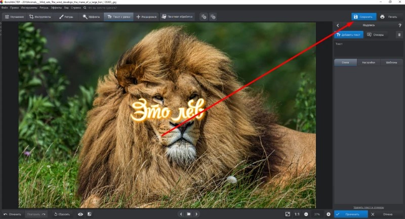 Сохранение изображения с текстом в ФотоМАСТЕР