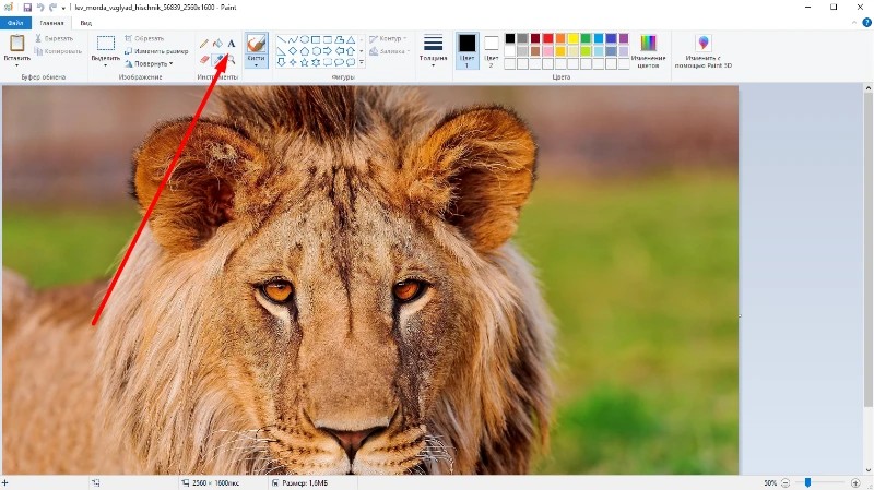 Создание текстового блока и ввод надписи в Paint