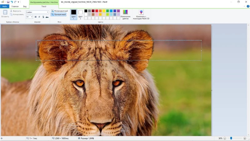 Настройка вида текста в Paint