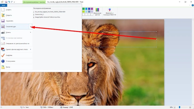 Сохранение JPG с текстом в Paint