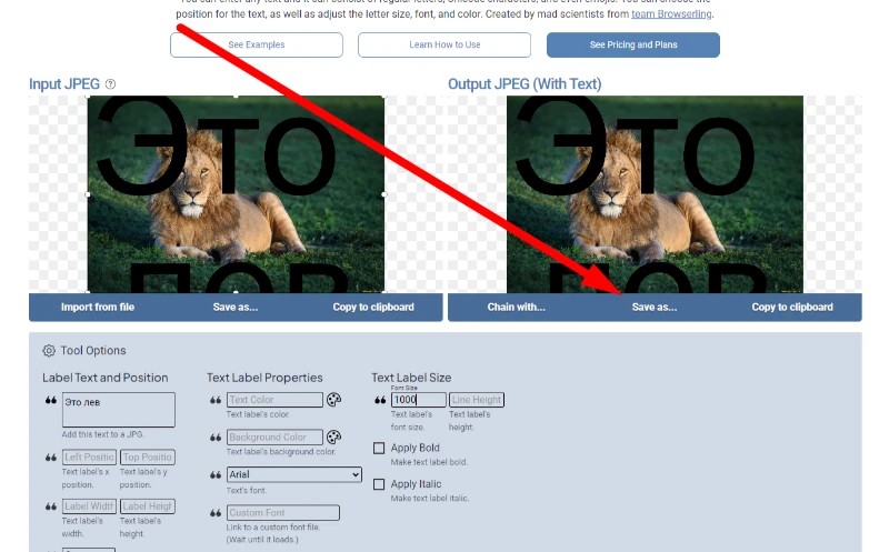 Сохранение JPEG с текстом через onlineJPGtools