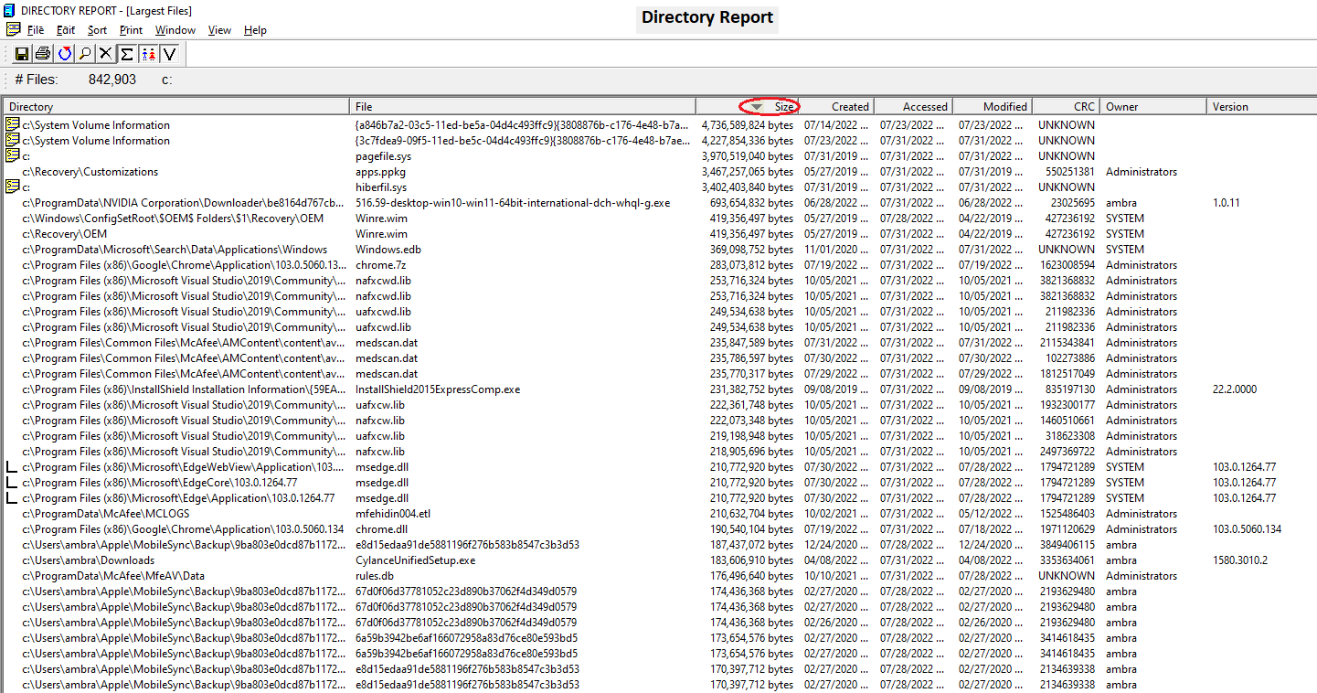 Окно Largest Files в Directory Report со списком самых крупных файлов и колонками Directory, File, Size, Created, Accessed, Modified, CRC, Owner, Version